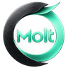 Molt